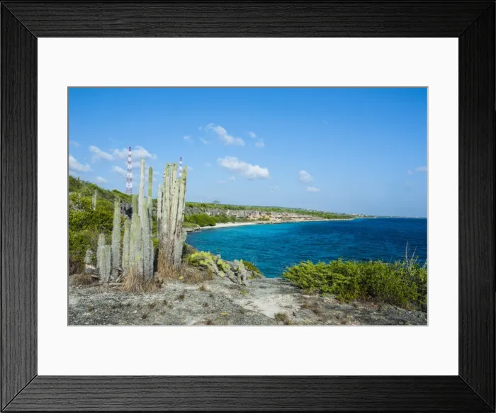Framed Print : Coast line in the Washington-Slagbaai National Park, Bonaire, ABC Islands, Netherlands Antilles, Caribbean, Central America Framed Print : Coast line in the Washington-Slagbaai National Park, Bonaire, ABC Islands, Netherlands Antilles, Caribbean, Central America