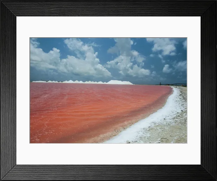 Framed Print : Saline a salt mine in Bonaire, ABC Islands, Netherlands Antilles, Caribbean, Central America