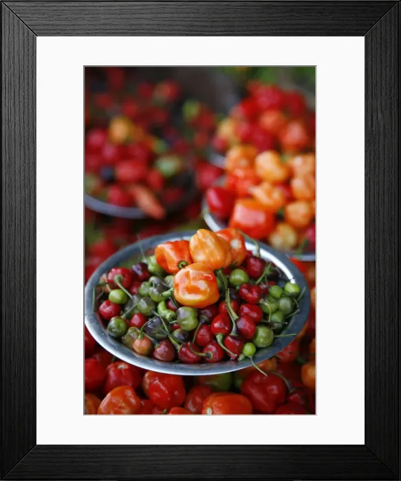 Framed Print : Peppers at Sao Joaquim market, Salvador (Salvador de Bahia), Bahia, Brazil, South America Framed Print : Peppers at Sao Joaquim market, Salvador (Salvador de Bahia), Bahia, Brazil, South America