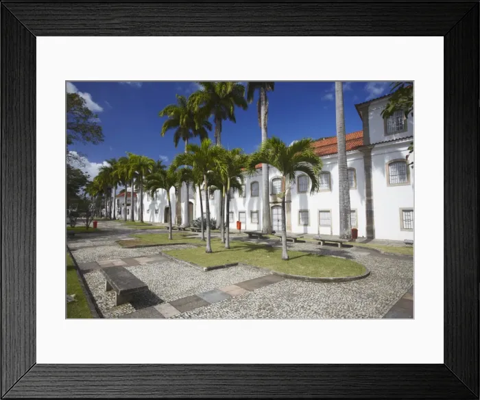 Framed Print : National History Museum, Centro, Rio de Janeiro, Brazil, South America Framed Print : National History Museum, Centro, Rio de Janeiro, Brazil, South America