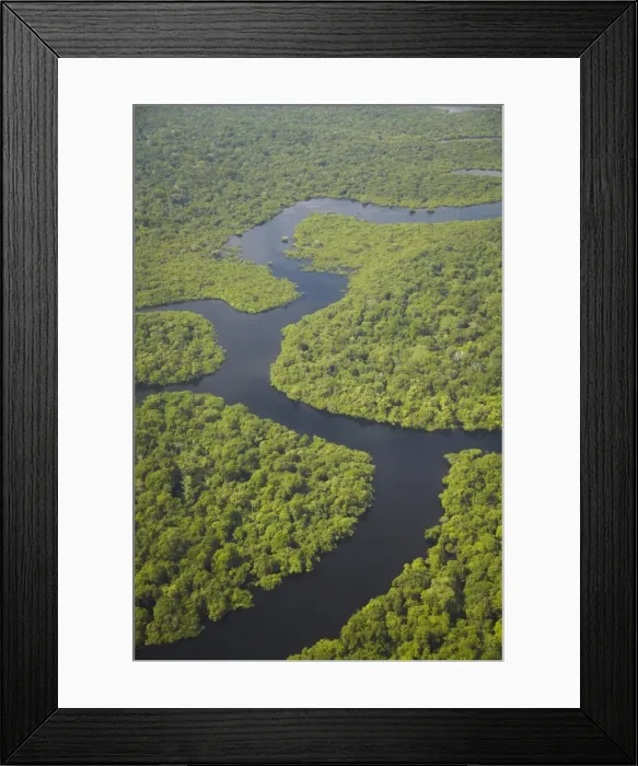 Framed Print : Aerial view of Amazon rainforest and tributary of the Rio Negro, Manaus, Amazonas, Brazil, South America Framed Print : Aerial view of Amazon rainforest and tributary of the Rio Negro, Manaus, Amazonas, Brazil, South America