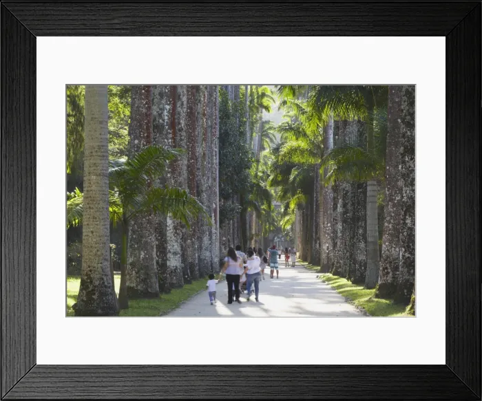 Framed Print : People at Botanical Gardens (Jardim Botanico), Rio de Janeiro, Brazil, South America Framed Print : People at Botanical Gardens (Jardim Botanico), Rio de Janeiro, Brazil, South America