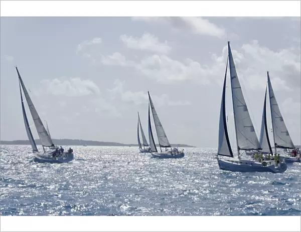 Sailboat regattas. British Virgin Islands, West Indies, Caribbean, Central America