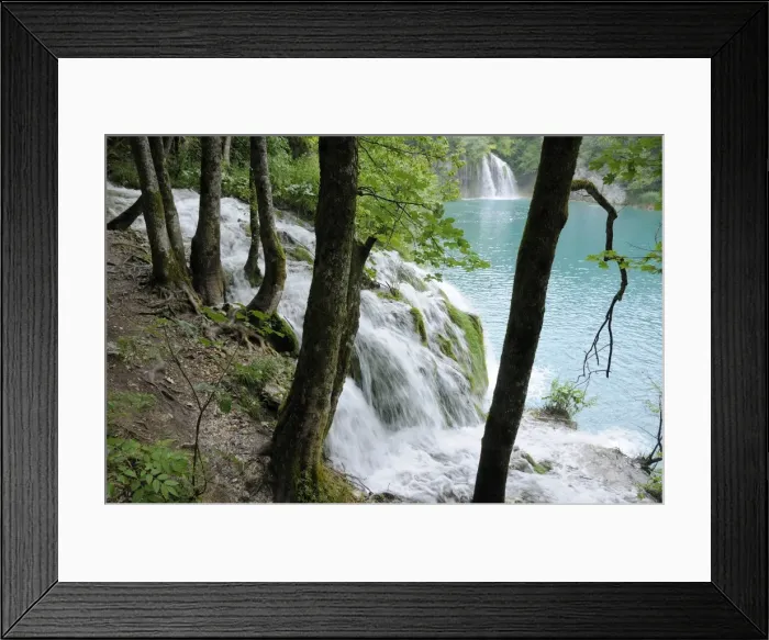 Framed Print : Sycamore trees (Acer pseudoplatanus) and waterfalls fringe Milanovac Lake, Plitvice Lakes National Park, UNESCO World Heritage Site, Croatia, Europe Framed Print : Sycamore trees (Acer pseudoplatanus) and waterfalls fringe Milanovac Lake, Plitvice Lakes National Park, UNESCO World Heritage Site, Croatia, Europe