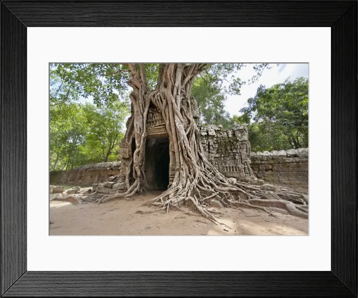 Framed Print : Ta Som, giant roots overgrowing on the gopura (entrance gate), Angkor, UNESCO World Heritage Site, Siem Reap, Cambodia, Indochina, Southeast Asia, Asia Framed Print : Ta Som, giant roots overgrowing on the gopura (entrance gate), Angkor, UNESCO World Heritage Site, Siem Reap, Cambodia, Indochina, Southeast Asia, Asia