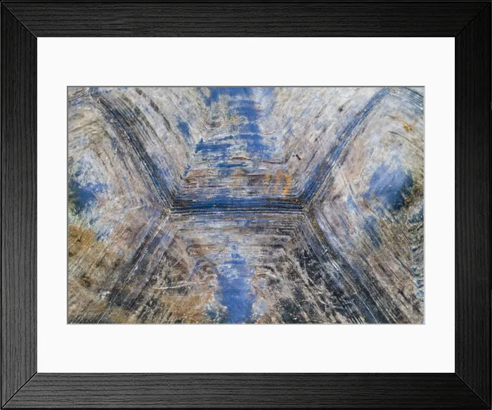 Framed Print : Detail of carapace, wild Galapagos tortoise (Geochelone elephantopus), Urbina Bay, Isabela Island, Galapagos Islands, Ecuador, South America Framed Print : Detail of carapace, wild Galapagos tortoise (Geochelone elephantopus), Urbina Bay, Isabela Island, Galapagos Islands, Ecuador, South America