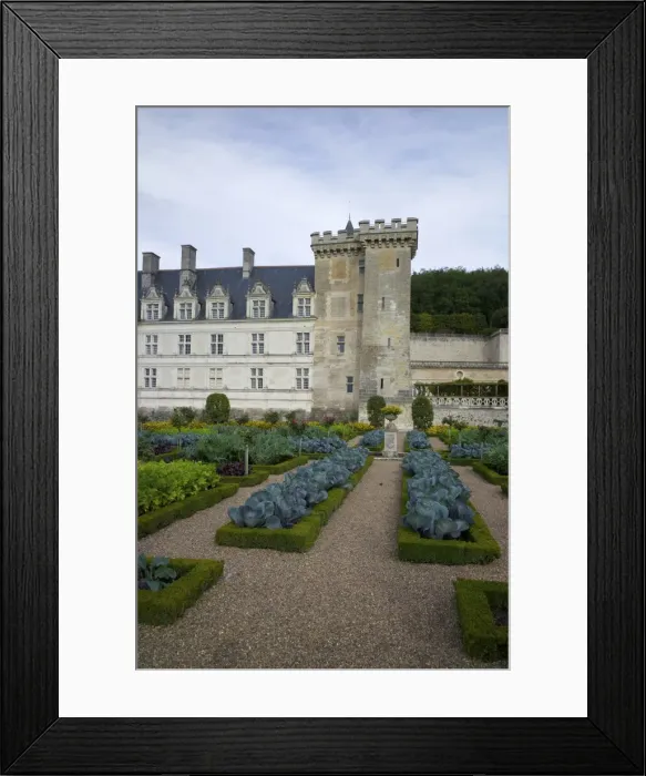 Framed Print : Vegetable garden, Chateau de Villandry, UNESCO World Heritage Site, Indre-et-Loire, Touraine, Loire Valley, France, Europe Framed Print : Vegetable garden, Chateau de Villandry, UNESCO World Heritage Site, Indre-et-Loire, Touraine, Loire Valley, France, Europe