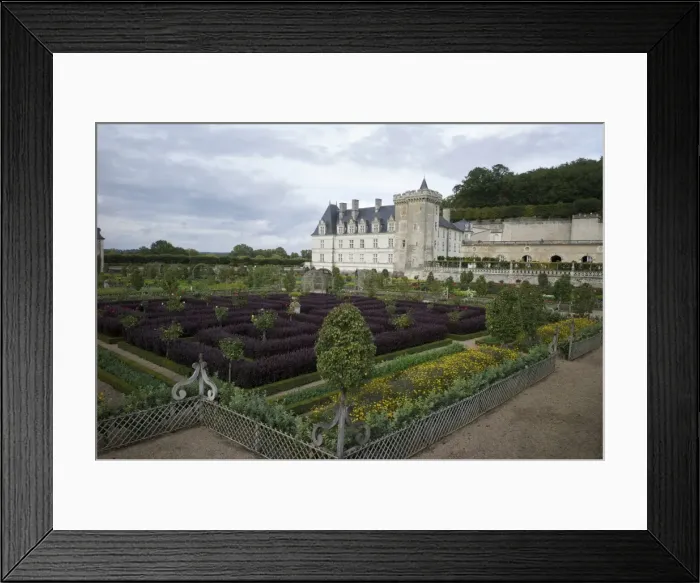 Framed Print : Gardens, Chateau de Villandry, UNESCO World Heritage Site, Indre-et-Loire, Touraine, Loire Valley, France, Europe Framed Print : Gardens, Chateau de Villandry, UNESCO World Heritage Site, Indre-et-Loire, Touraine, Loire Valley, France, Europe