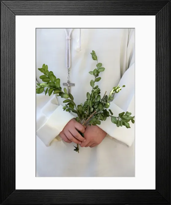 Framed Print : Palm Sunday, Paris, France, Europe Framed Print : Palm Sunday, Paris, France, Europe