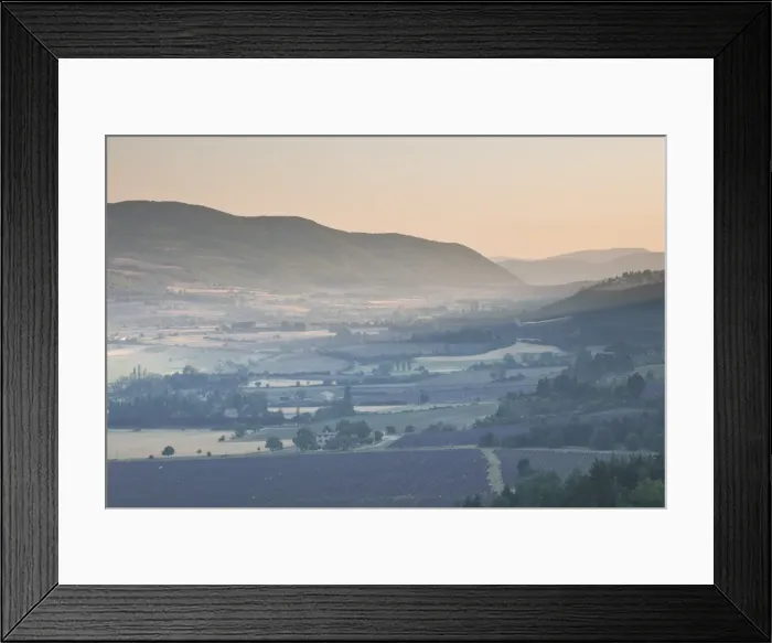 Framed Print : Lavender fields near Sault, Vaucluse, Provence, France, Europe Framed Print : Lavender fields near Sault, Vaucluse, Provence, France, Europe