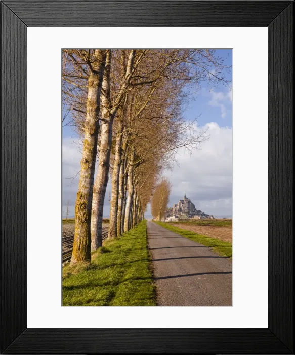 Framed Print : A tree lined avenue leads towards Mont Saint Michel, UNESCO World Heritage Site, Normandy, France, Europe