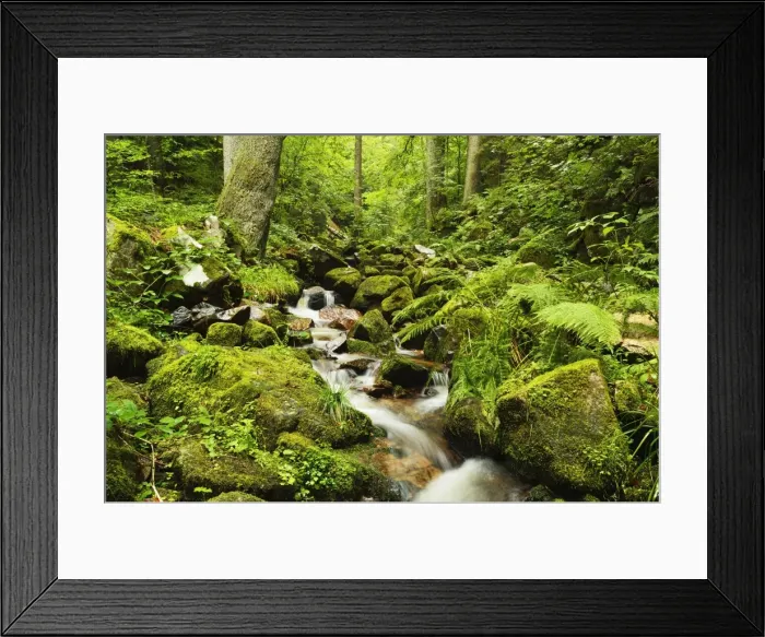 Framed Print : Windberg waterfall, near St. Blasien, Black Forest, Baden-Wurttemberg, Germany, Europe Framed Print : Windberg waterfall, near St. Blasien, Black Forest, Baden-Wurttemberg, Germany, Europe