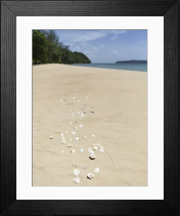 Framed Print : Seashells on Bamboo Island, Sihanoukville, Cambodia, Indochina, Southeast Asia, Asia Framed Print : Seashells on Bamboo Island, Sihanoukville, Cambodia, Indochina, Southeast Asia, Asia