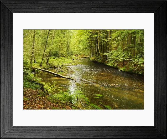 Framed Print : Grosser Regen (river), near Bayerisch Eisenstein, Bavarian Forest, Bavaria, Germany, Europe Framed Print : Grosser Regen (river), near Bayerisch Eisenstein, Bavarian Forest, Bavaria, Germany, Europe