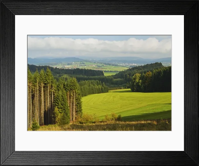 Framed Print : View of forest and Breitenberg in the distance, Bavaria, Germany, Europe Framed Print : View of forest and Breitenberg in the distance, Bavaria, Germany, Europe