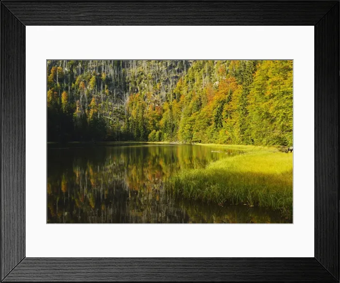 Framed Print : Rachelsee (Rachel Lake), Grosser Rachel, Bavarian Forest National Park, Bavarian Forest, Bavaria, Germany, Europe Framed Print : Rachelsee (Rachel Lake), Grosser Rachel, Bavarian Forest National Park, Bavarian Forest, Bavaria, Germany, Europe