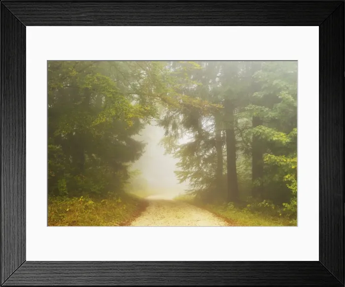 Framed Print : Autumn scene in morning fog, Swabian Alb, Baden-Wurttemberg, Germany, Europe