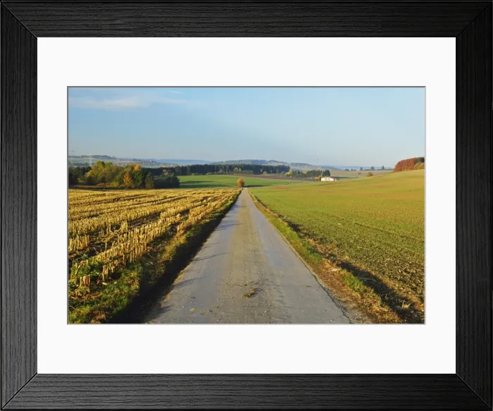 Framed Print : Country road, near Villingen-Schwenningen, Black Forest, Schwarzwald-Baar, Baden-Wurttemberg, Germany, Europe Framed Print : Country road, near Villingen-Schwenningen, Black Forest, Schwarzwald-Baar, Baden-Wurttemberg, Germany, Europe