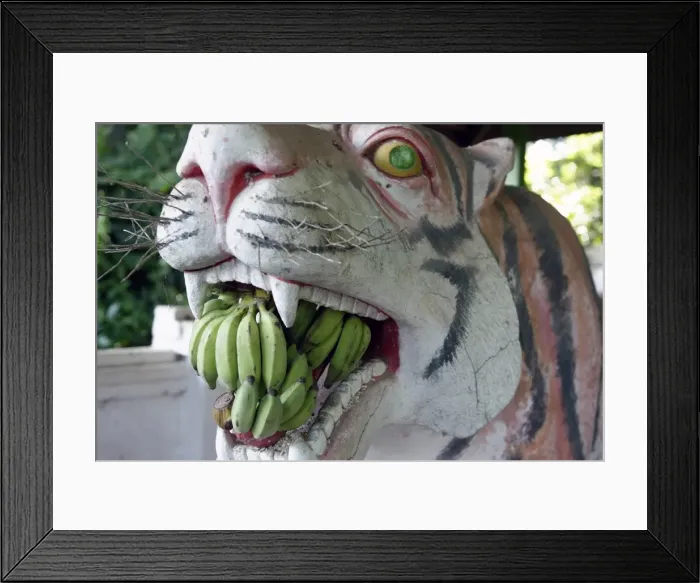 Framed Print : Nats temple, Hsipaw area, Shan State, Republic of the Union of Myanmar (Burma), Asia Framed Print : Nats temple, Hsipaw area, Shan State, Republic of the Union of Myanmar (Burma), Asia