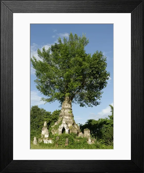 Framed Print : Buddhist monastery, Hsipaw area, Shan State, Republic of the Union of Myanmar (Burma), Asia Framed Print : Buddhist monastery, Hsipaw area, Shan State, Republic of the Union of Myanmar (Burma), Asia