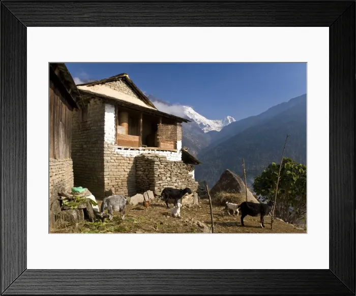 Framed Print : Ulleri Village, 2080 metres, Annapurna Himal, Nepal, Himalayas, Asia Framed Print : Ulleri Village, 2080 metres, Annapurna Himal, Nepal, Himalayas, Asia
