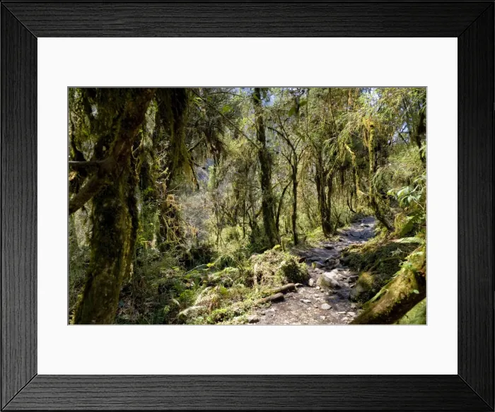 Framed Print : Modi Khola Valley, Annapurna Himal, Nepal, Himalayas, Asia Framed Print : Modi Khola Valley, Annapurna Himal, Nepal, Himalayas, Asia
