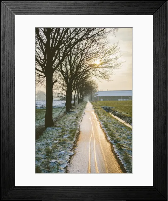Framed Print : The Oude Trambaan (old tramway) tree lined cycle path in winter, Rijsbergen, North Brabant, The Netherlands (Holland), Europe Framed Print : The Oude Trambaan (old tramway) tree lined cycle path in winter, Rijsbergen, North Brabant, The Netherlands (Holland), Europe