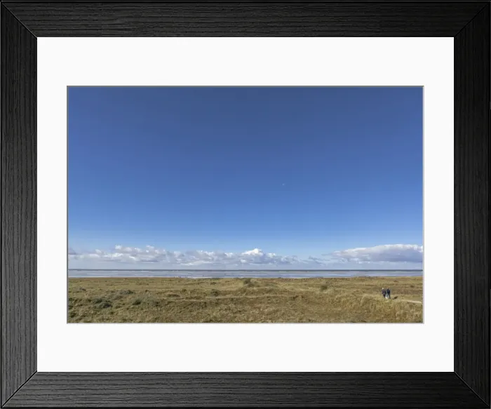 Framed Print : Wetland and beach, Schiermonnikoog, West Frisian Islands, Friesland, The Netherlands (Holland), Europe Framed Print : Wetland and beach, Schiermonnikoog, West Frisian Islands, Friesland, The Netherlands (Holland), Europe