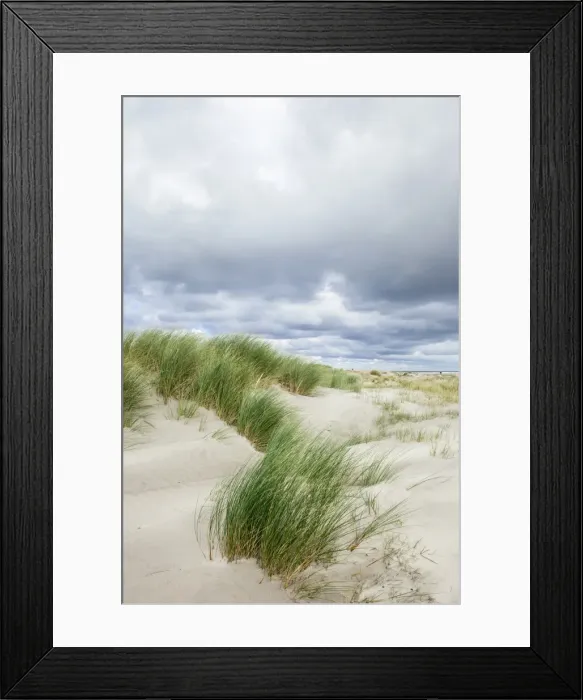 Framed Print : Sand dunes and dramatic sky, Schiermonnikoog, West Frisian Islands, Friesland, The Netherlands (Holland), Europe Framed Print : Sand dunes and dramatic sky, Schiermonnikoog, West Frisian Islands, Friesland, The Netherlands (Holland), Europe
