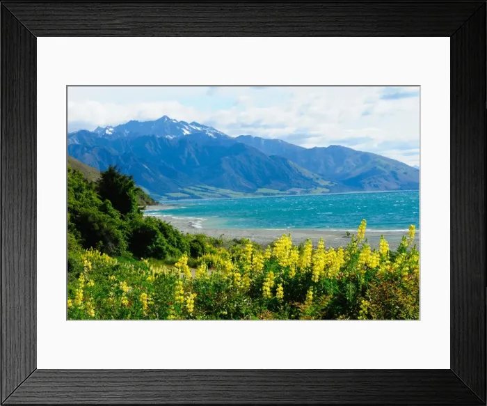 Framed Print : Lake Te Anau, Southland, South Island, New Zealand, Pacific Framed Print : Lake Te Anau, Southland, South Island, New Zealand, Pacific