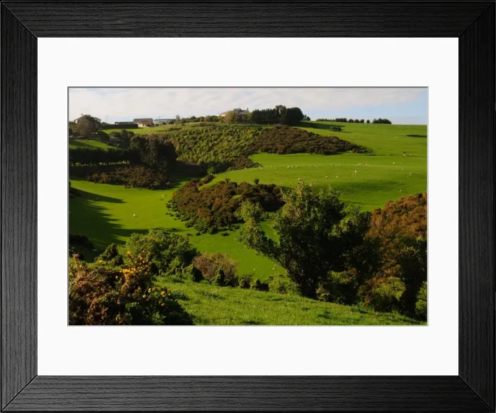 Framed Print : Rolling plains of Otago Peninsula, South Island, New Zealand, Pacific Framed Print : Rolling plains of Otago Peninsula, South Island, New Zealand, Pacific