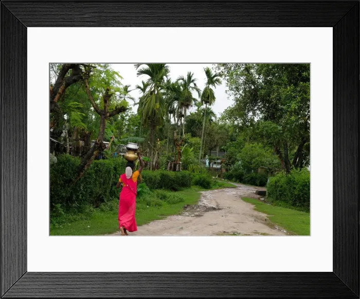 Framed Print : Woman carrying water, Assam, India, Asia