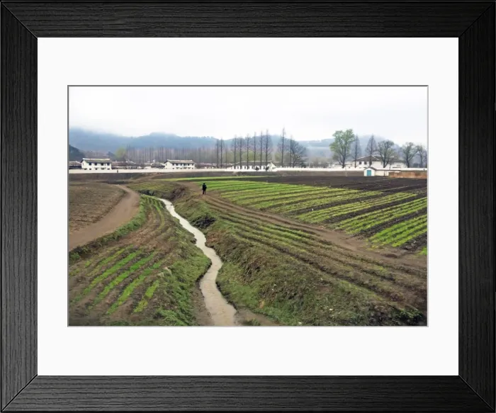Framed Print : Countryside between Wonsan and Hamhung, Democratic Peoples Republic of Korea (DPRK), North Korea, Asia Framed Print : Countryside between Wonsan and Hamhung, Democratic Peoples Republic of Korea (DPRK), North Korea, Asia