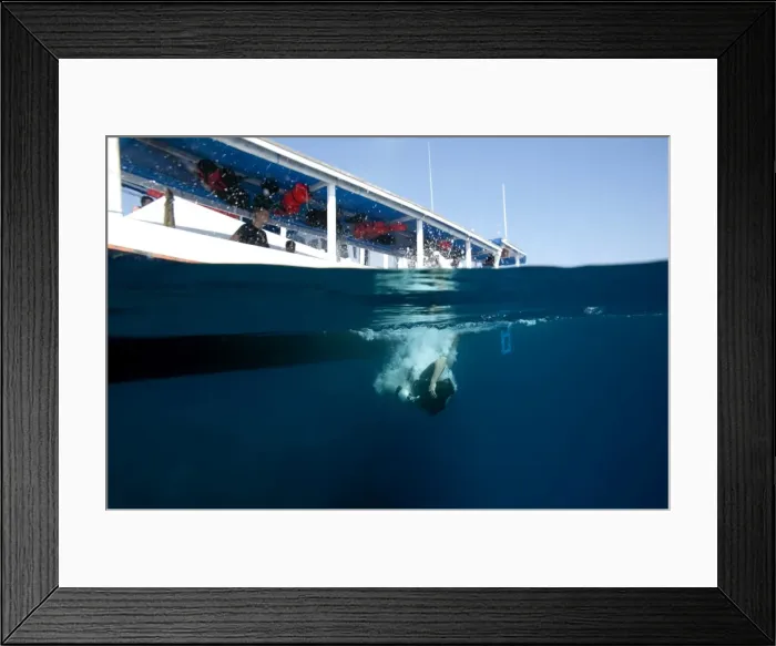Framed Print : Diver back-rolling off a boat into the water, Komodo, Indonesia, Southeast Asia, Asia Framed Print : Diver back-rolling off a boat into the water, Komodo, Indonesia, Southeast Asia, Asia