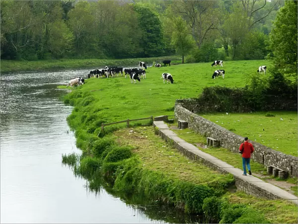 Countryside, County Kilkenny, Leinster, Republic of Ireland (Eire), Europe