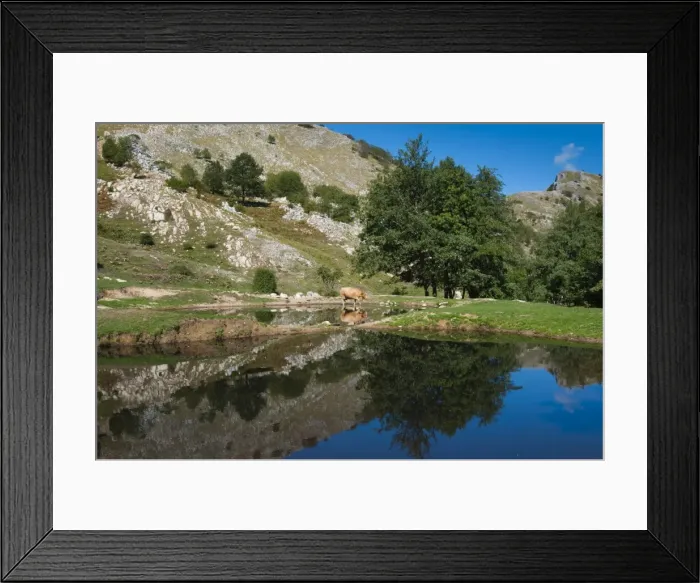 Framed Print : Lakes of Bozzone, Matanna Mountain (Monte Matanna), Apuan Alps (Alpi Apuane), Lucca Province, Tuscany, Italy, Europe Framed Print : Lakes of Bozzone, Matanna Mountain (Monte Matanna), Apuan Alps (Alpi Apuane), Lucca Province, Tuscany, Italy, Europe