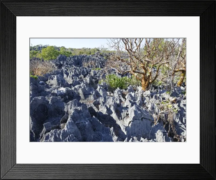 Framed Print : Tsingy de Bemaraha Strict Nature Reserve, UNESCO World Heritage Site, near the western coast in Melaky Region, Madagascar, Africa Framed Print : Tsingy de Bemaraha Strict Nature Reserve, UNESCO World Heritage Site, near the western coast in Melaky Region, Madagascar, Africa