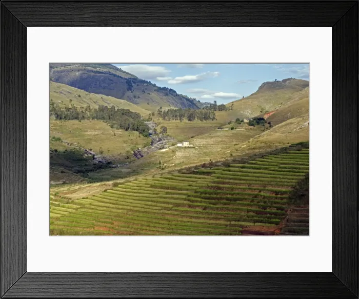 Framed Print : Landscape of the Highlands, Fianaranstoa region, Madagascar, Africa Framed Print : Landscape of the Highlands, Fianaranstoa region, Madagascar, Africa