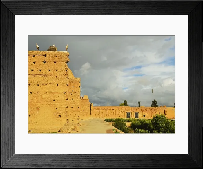 Framed Print : White storks, Palais Badi (El Badi Palace), Medina, Marrakesh, Morocco, North Africa, Africa Framed Print : White storks, Palais Badi (El Badi Palace), Medina, Marrakesh, Morocco, North Africa, Africa