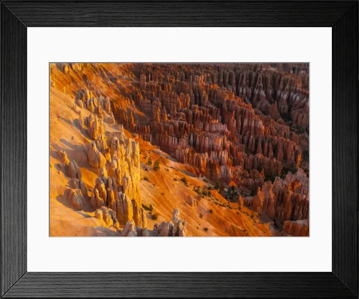 Framed Print : View of the Bryce Canyon at sunset, Bryce Canyon National Park, Utah, United States of America, North America Framed Print : View of the Bryce Canyon at sunset, Bryce Canyon National Park, Utah, United States of America, North America