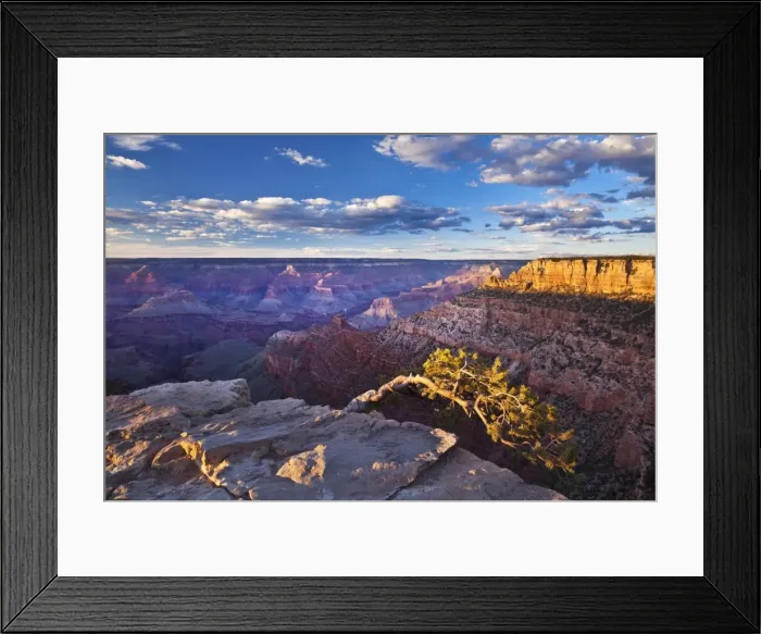 Framed Print : Pipe Creek Vista Point Overlook, South Rim, Grand Canyon National Park, UNESCO World Heritage Site, Arizona, United States of America, North America Framed Print : Pipe Creek Vista Point Overlook, South Rim, Grand Canyon National Park, UNESCO World Heritage Site, Arizona, United States of America, North America