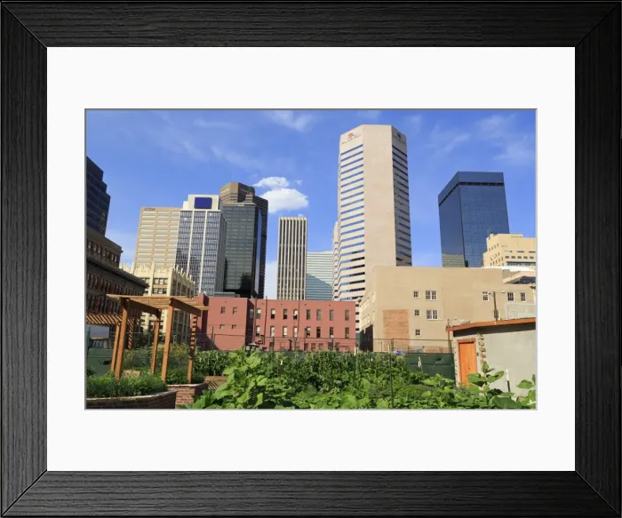 Framed Print : Skyline, Denver, Colorado, United States of America, North America