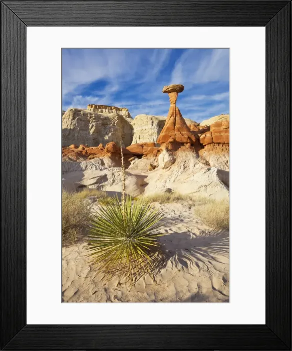 Framed Print : Toadstool Paria Rimrocks with yucca plant, near Kanab, Grand Staircase-Escalante National Monument, Utah, United States of America, North America Framed Print : Toadstool Paria Rimrocks with yucca plant, near Kanab, Grand Staircase-Escalante National Monument, Utah, United States of America, North America