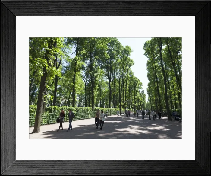 Framed Print : People enjoying the Summer Garden, St. Petersburg, Russia, Europe Framed Print : People enjoying the Summer Garden, St. Petersburg, Russia, Europe