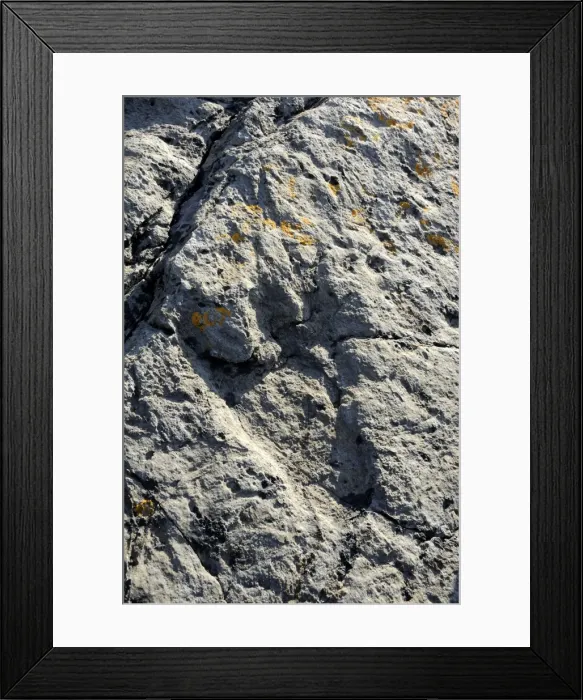 Framed Print : 150 million year old fossilised footprint (ichnite) of theropod dinosaur in karst limestone rock, Terenes, Asturias, Spain, Europe