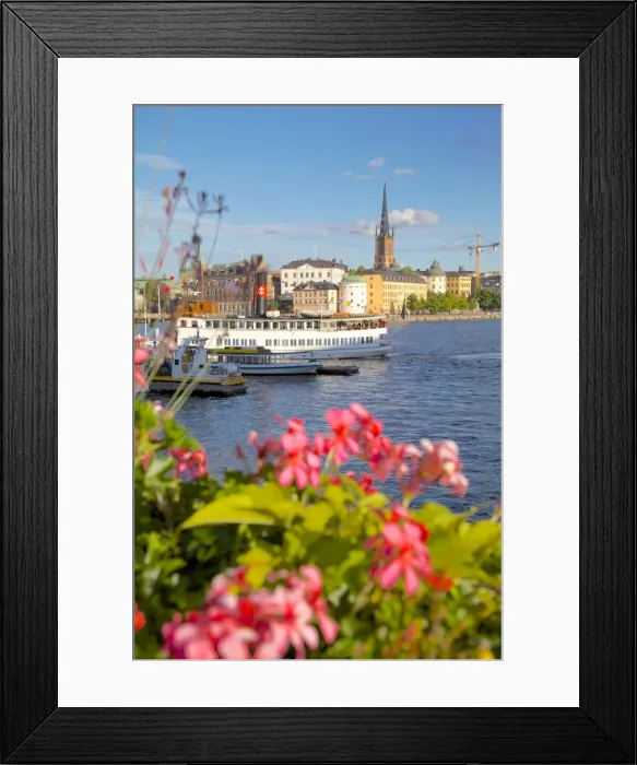 Framed Print : City skyline and flowers, Stockholm, Sweden, Scandinavia, Europe Framed Print : City skyline and flowers, Stockholm, Sweden, Scandinavia, Europe