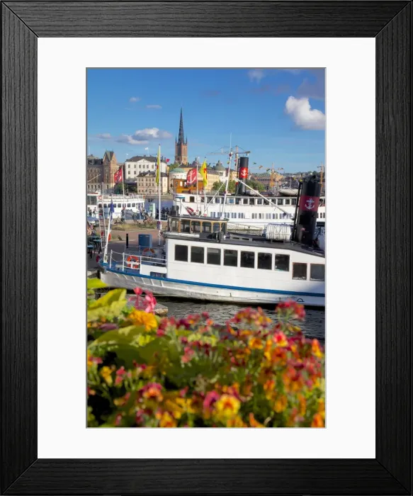 Framed Print : City skyline and flowers, Stockholm, Sweden, Scandinavia, Europe