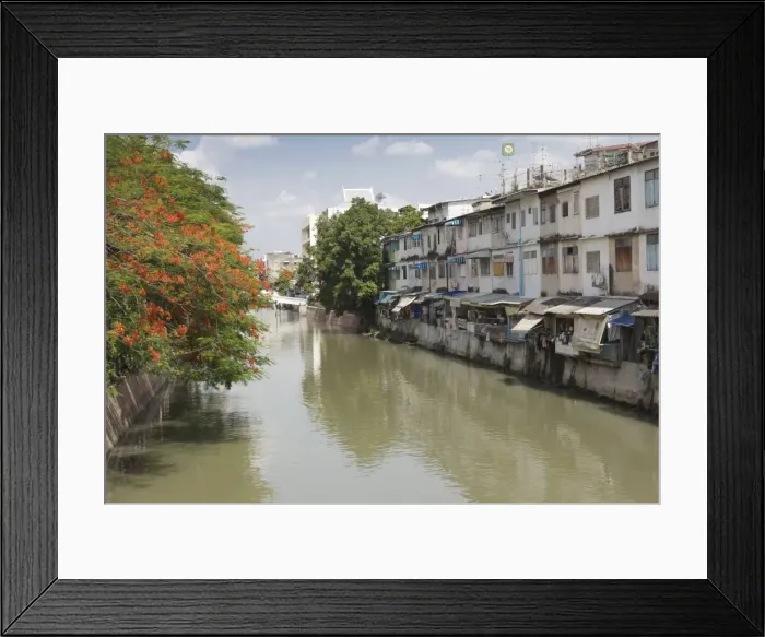 Framed Print : Red blossom and flats along a canal in Banglamphu, Bangkok, Thailand, Southeast Asia, Asia Framed Print : Red blossom and flats along a canal in Banglamphu, Bangkok, Thailand, Southeast Asia, Asia