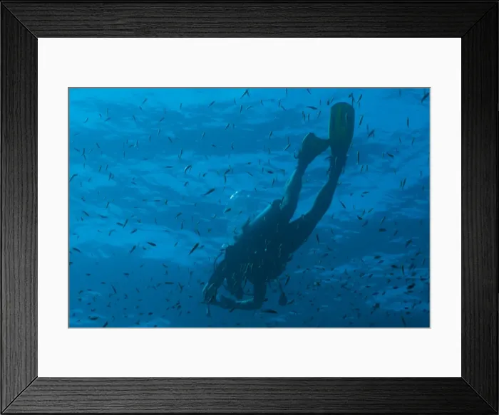 Framed Print : Scuba diver underwater, Southern Thailand, Andaman Sea, Indian Ocean, Southeast Asia, Asia Framed Print : Scuba diver underwater, Southern Thailand, Andaman Sea, Indian Ocean, Southeast Asia, Asia