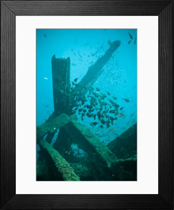 Framed Print : Wreck diving, Southern Thailand, Andaman Sea, Indian Ocean, Southeast Asia, Asia Framed Print : Wreck diving, Southern Thailand, Andaman Sea, Indian Ocean, Southeast Asia, Asia